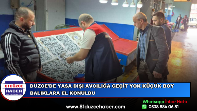 Düzce'de Yasa Dışı Avcılığa Geçit Yok Küçük Boy Balıklara El Konuldu
