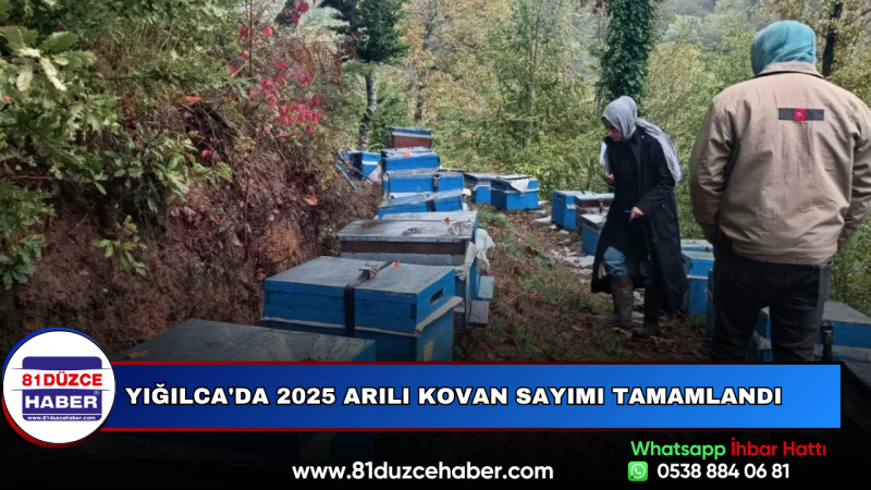 Yığılca'da 2025 Arılı Kovan Sayımı Tamamlandı