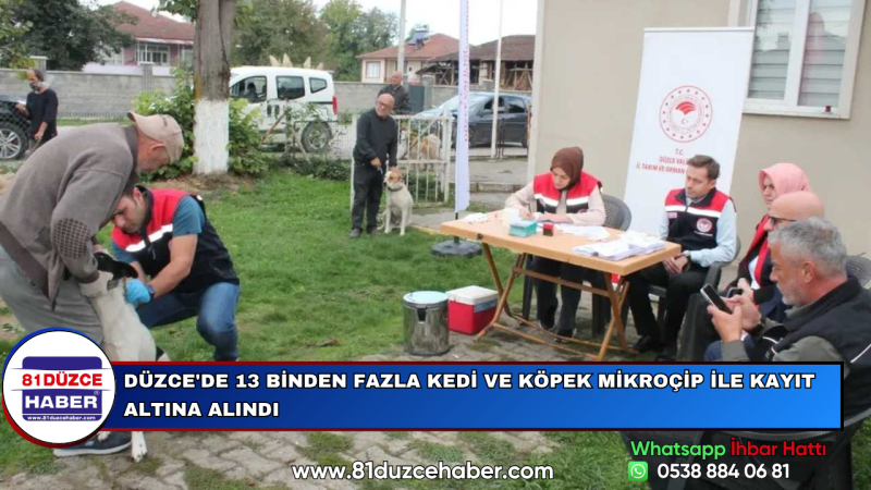 Düzce'de 13 Binden Fazla Kedi ve Köpek Mikroçip ile Kayıt Altına Alındı