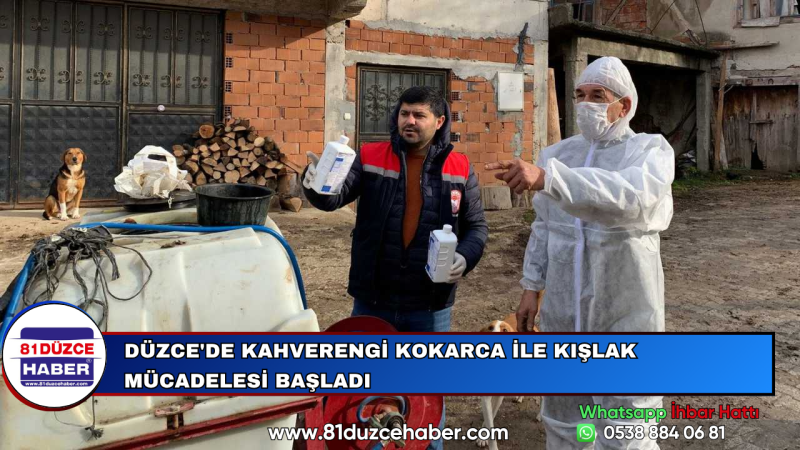Düzce'de Kahverengi Kokarca ile Kışlak Mücadelesi Başladı