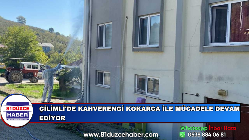 Çilimli'de Kahverengi Kokarca ile Mücadele Devam Ediyor