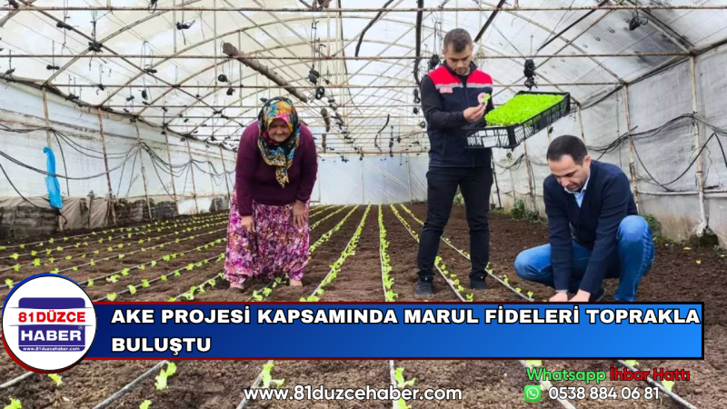 AKE Projesi Kapsamında Marul Fideleri Toprakla Buluştu