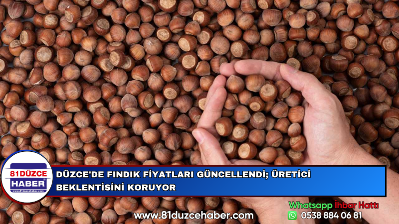 Düzce'de Fındık Fiyatları Güncellendi; Üretici Beklentisini Koruyor