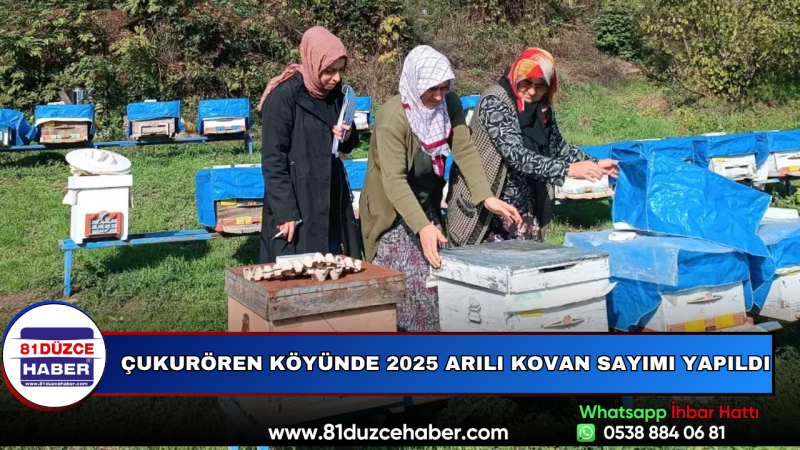Çukurören Köyünde 2025 Arılı Kovan Sayımı Yapıldı