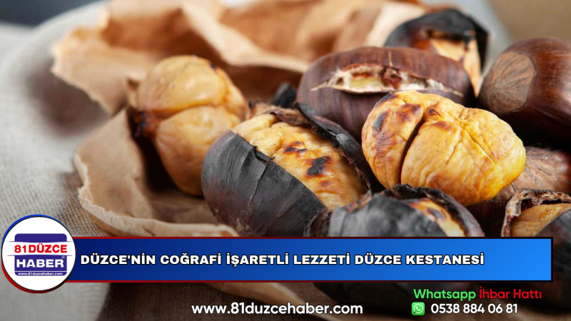 Düzce'nin Coğrafi İşaretli Lezzeti Düzce Kestanesi