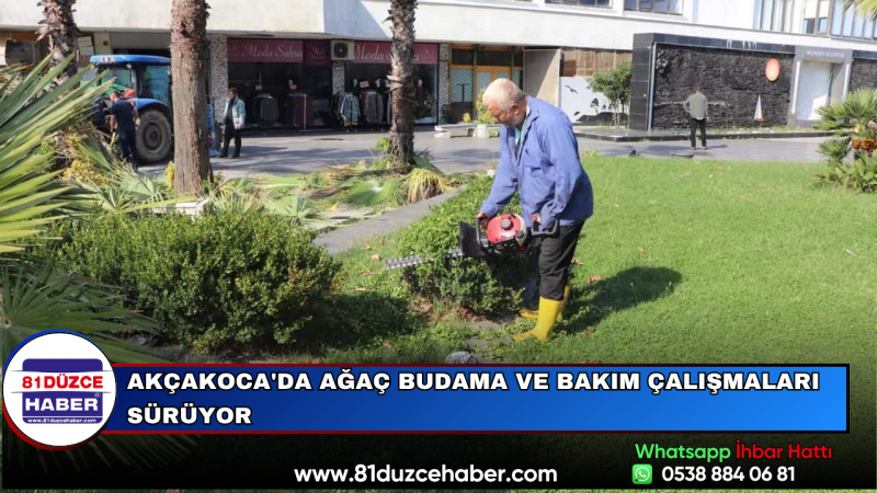 Akçakoca'da Ağaç Budama ve Bakım Çalışmaları Sürüyor