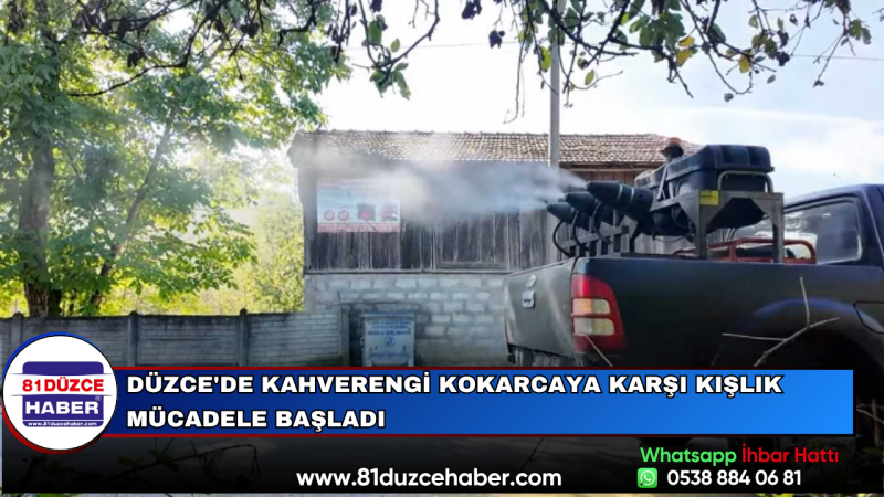 Düzce'de Kahverengi Kokarcaya Karşı Kışlık Mücadele Başladı