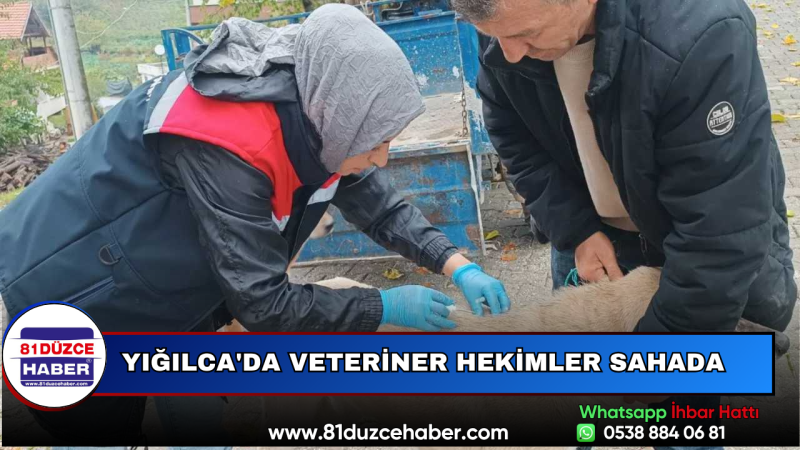 Yığılca'da Veteriner Hekimler Sahada