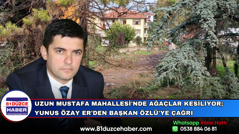Uzun Mustafa Mahallesi'nde Ağaçlar Kesiliyor; Yunus Özay Er'den Başkan Özlü'ye Çağrı