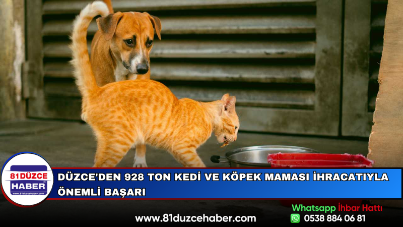 Düzce'den 928 Ton Kedi ve Köpek Maması İhracatıyla Önemli Başarı