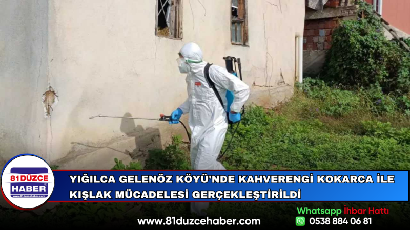 Yığılca Gelenöz Köyü'nde Kahverengi Kokarca ile Kışlak Mücadelesi Gerçekleştirildi