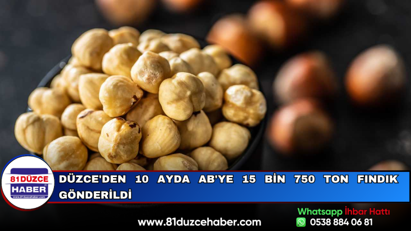 Düzce'den 10 Ayda AB'ye 15 Bin 750 Ton Fındık Gönderildi