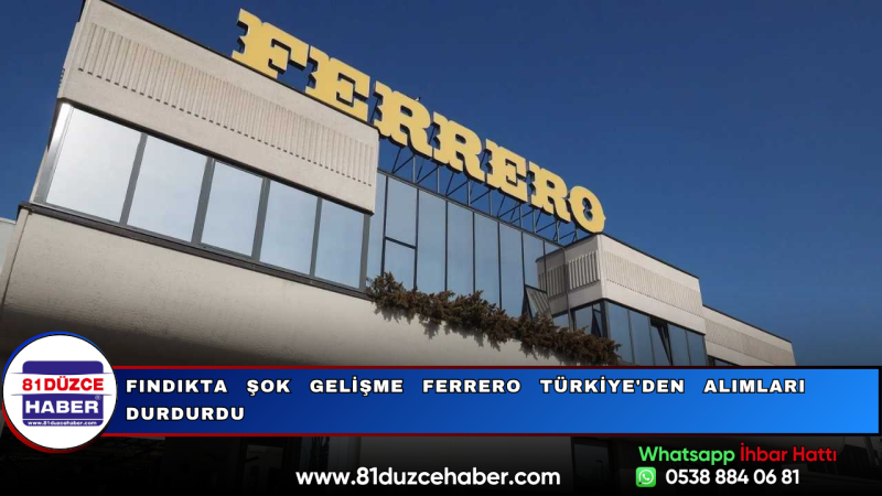 Fındıkta Şok Gelişme Ferrero Türkiye'den Alımları Durdurdu