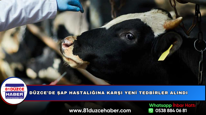 Düzce'de Şap Hastalığına Karşı Yeni Tedbirler Alındı