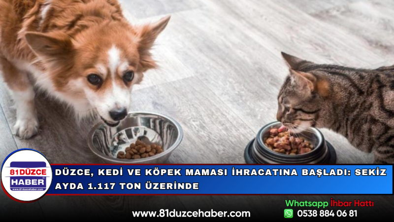 Düzce, Kedi ve Köpek Maması İhracatına Başladı: Sekiz Ayda 1.117 Ton Üzerinde
