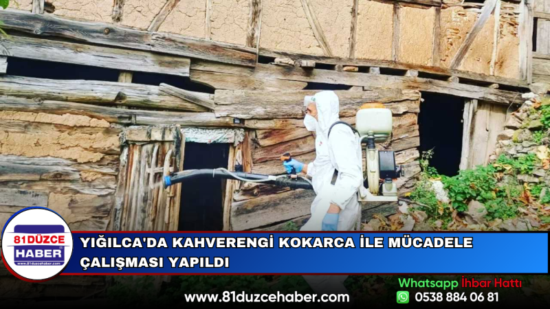 Yığılca'da Kahverengi Kokarca ile Mücadele Çalışması Yapıldı