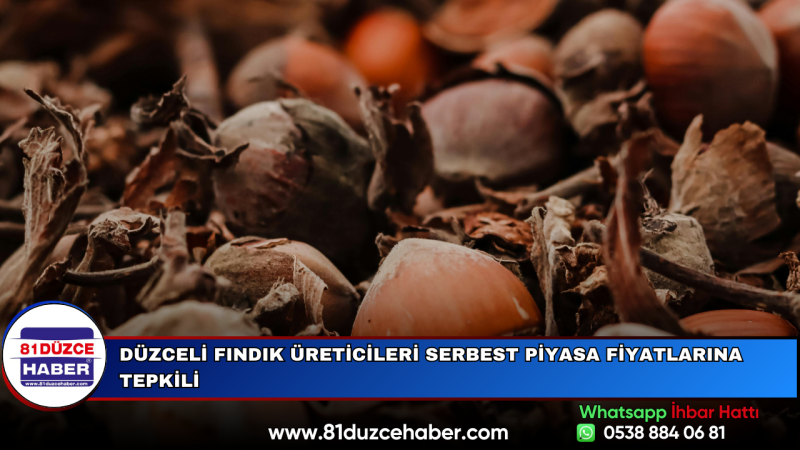Düzceli Fındık Üreticileri Serbest Piyasa Fiyatlarına Tepkili