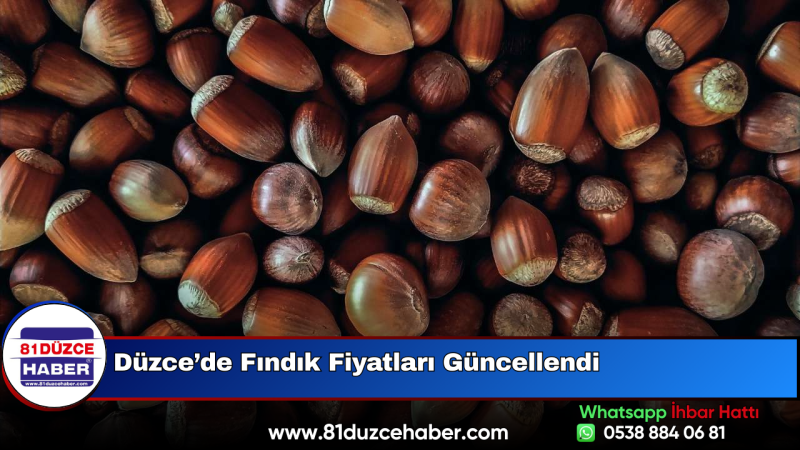 Düzce’de Fındık Fiyatları Güncellendi