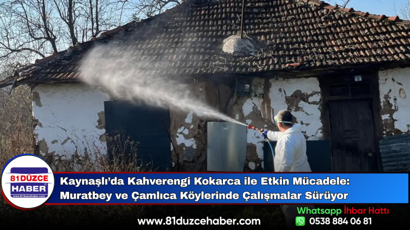 Kaynaşlı’da Kahverengi Kokarca ile Etkin Mücadele: Muratbey ve Çamlıca Köylerinde Çalışmalar Sürüyor