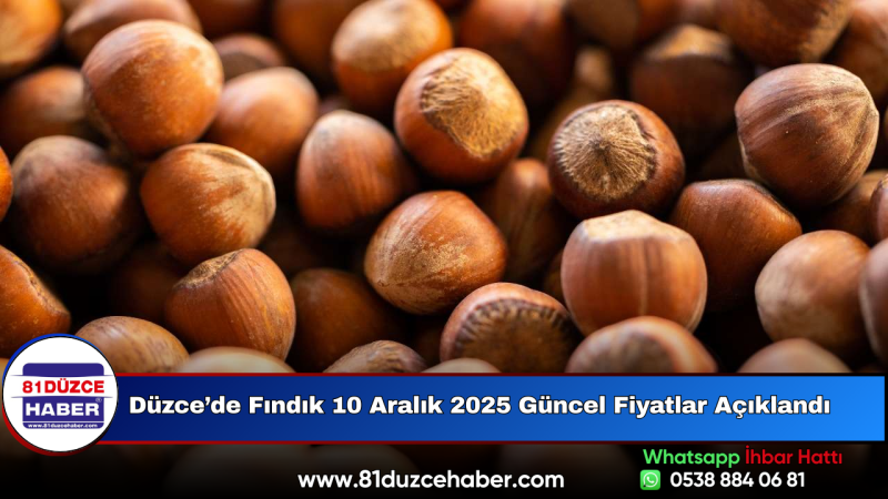 Düzce’de Fındık 10 Aralık 2025 Güncel Fiyatlar Açıklandı