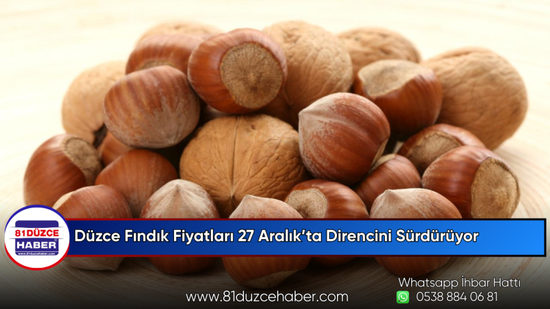 Düzce Fındık Fiyatları 27 Aralık’ta Direncini Sürdürüyor