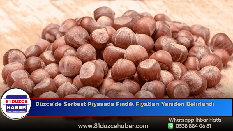 Düzce’de Serbest Piyasada Fındık Fiyatları Yeniden Belirlendi
