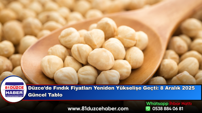 Düzce’de Fındık Fiyatları Yeniden Yükselişe Geçti: 8 Aralık 2025 Güncel Tablo