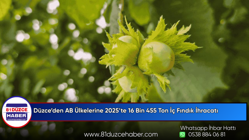 Düzce’den AB Ülkelerine 2025’te 16 Bin 455 Ton İç Fındık İhracatı