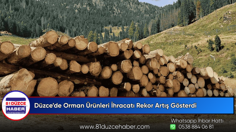 Düzce’de Orman Ürünleri İhracatı Rekor Artış Gösterdi