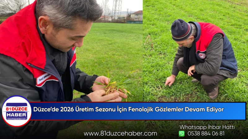 Düzce’de 2026 Üretim Sezonu İçin Fenolojik Gözlemler Devam Ediyor