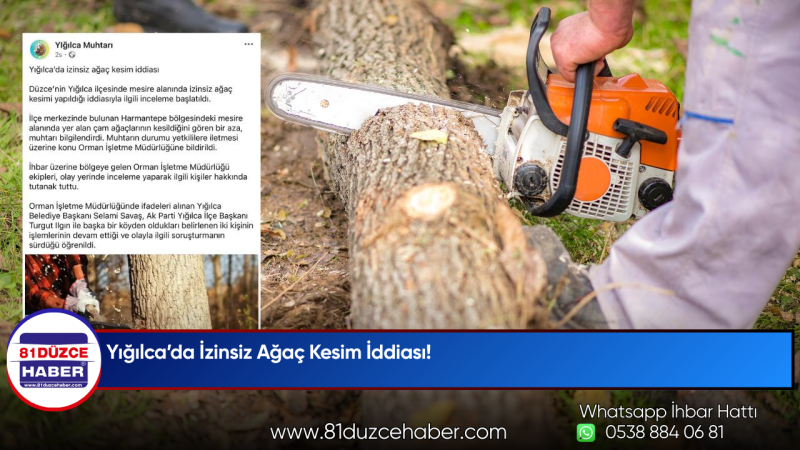 Yığılca’da İzinsiz Ağaç Kesim İddiası!