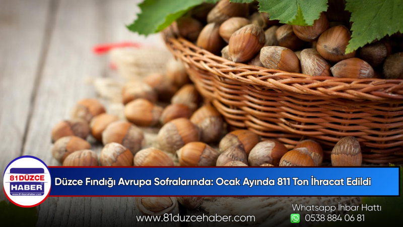 Düzce Fındığı Avrupa Sofralarında: Ocak Ayında 811 Ton İhracat Edildi