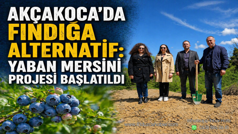 Akçakoca’da Fındığa Alternatif: Yaban Mersini Projesi Başlatıldı