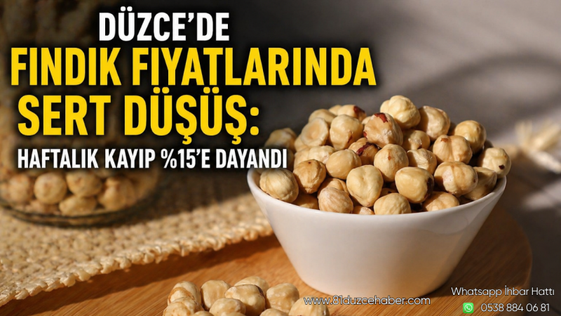 Düzce’de Fındık Fiyatlarında Sert Düşüş: Haftalık Kayıp %15’e Dayandı