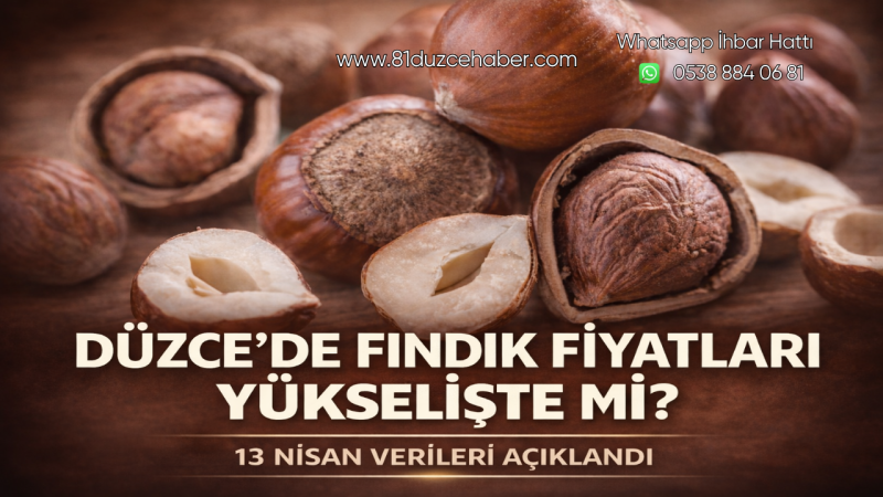 Düzce’de Fındık Fiyatları Yükselişte mi? 13 Nisan Verileri Açıklandı