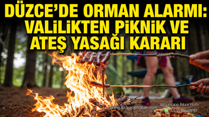 Düzce’de Orman Alarmı: Valilikten Piknik ve Ateş Yasağı Kararı