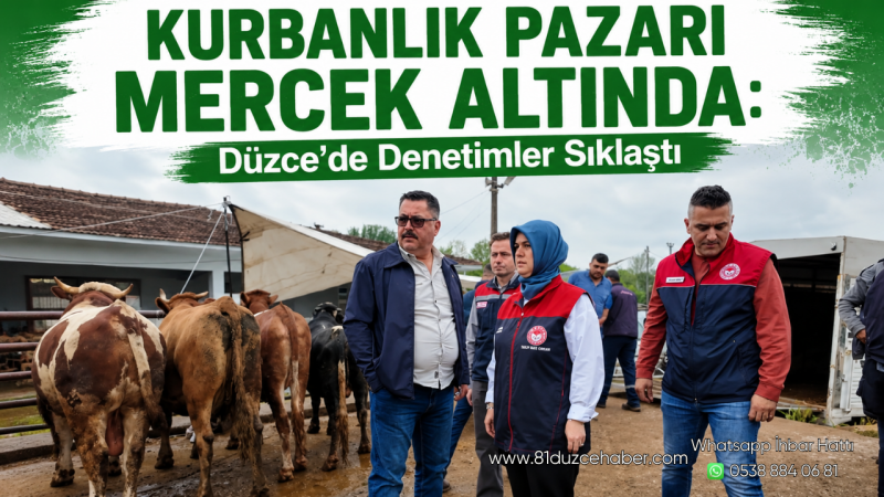 Kurbanlık Pazarı Mercek Altında: Düzce’de Denetimler Sıklaştı