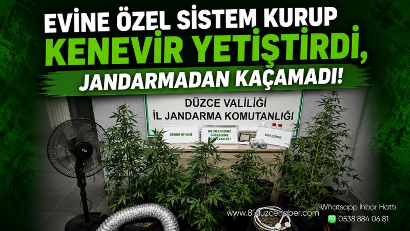 Evine Özel Sistem Kurup Kenevir Yetiştirdi, Jandarmadan Kaçamadı