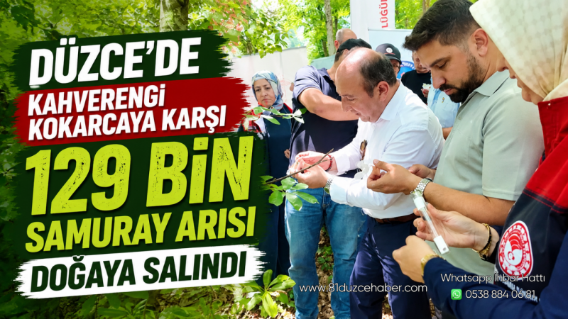 Düzce’de Kahverengi Kokarcaya Karşı 129 Bin Samuray Arısı Doğaya Salındı