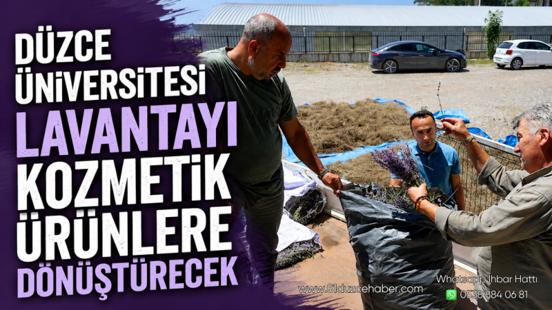 Düzce Üniversitesi Lavantayı Kozmetik Ürünlere Dönüştürecek