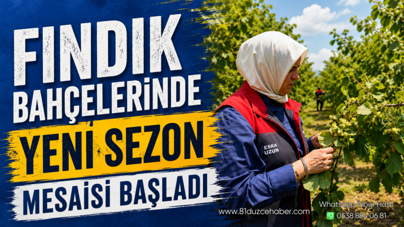 Fındık Bahçelerinde Yeni Sezon Mesaisi Başladı