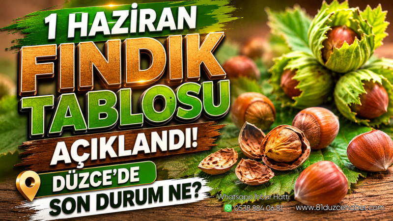 1 Haziran Fındık Tablosu Açıklandı: Düzce’de Son Durum Ne?