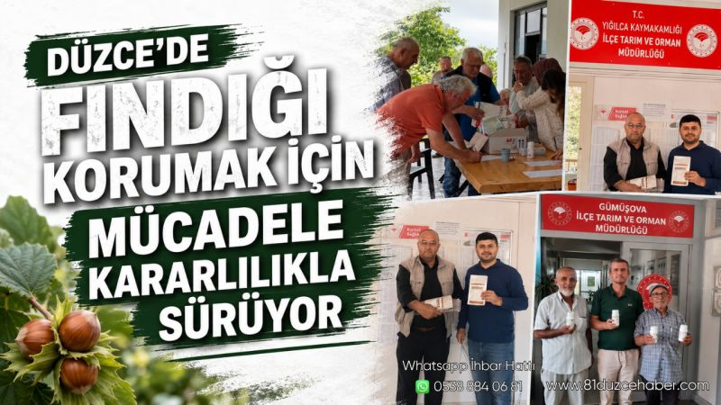 Düzce’de Fındığı Korumak İçin Mücadele Kararlılıkla Sürüyor