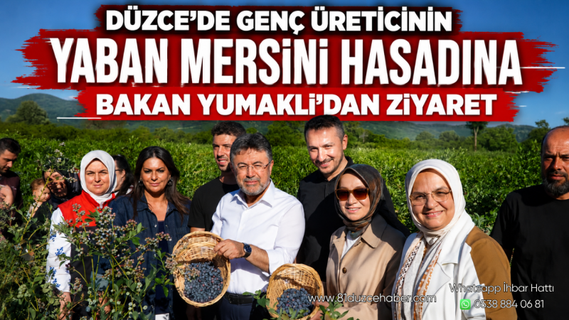 Düzce’de Genç Üreticinin Yaban Mersini Hasadına Bakan Yumaklı’dan Ziyaret