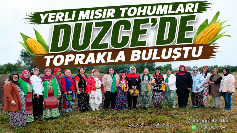 Yerli Mısır Tohumları Düzce’de Toprakla Buluştu