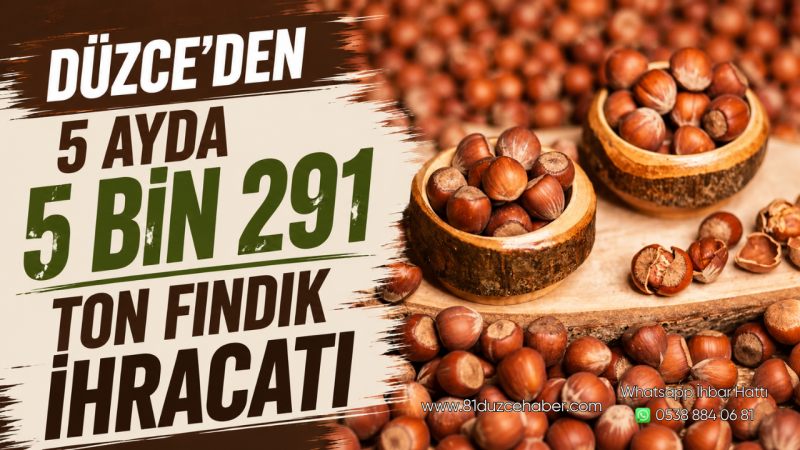 Düzce’den 5 Ayda 5 Bin 291 Ton Fındık İhracatı