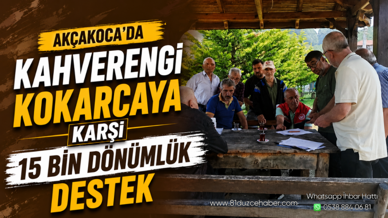 Akçakoca'da Kahverengi Kokarcaya Karşı 15 Bin Dönümlük Destek