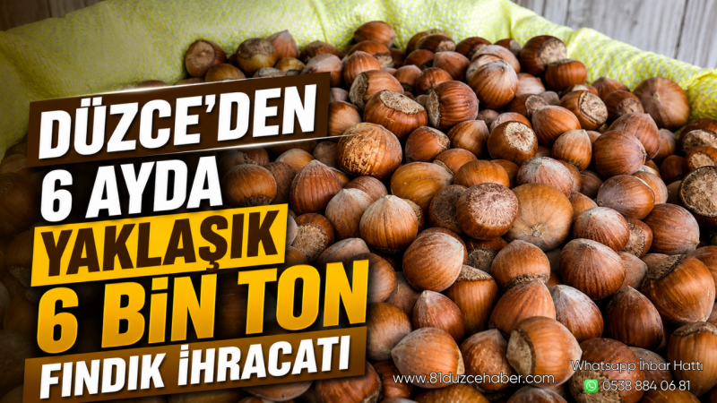 Düzce'den 6 Ayda Yaklaşık 6 Bin Ton Fındık İhracatı