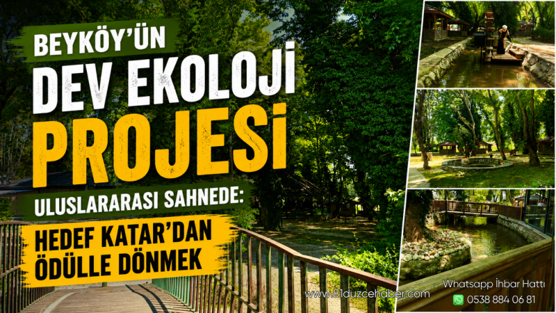 Beyköy'ün Dev Ekoloji Projesi Uluslararası Sahnede: Hedef Katar'dan Ödülle Dönmek