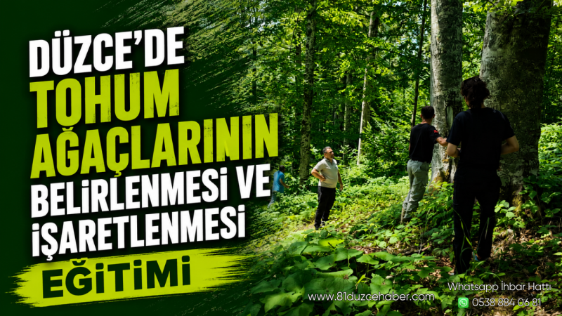 Düzce’de Tohum Ağaçlarının Belirlenmesi ve İşaretlenmesi Eğitimi
